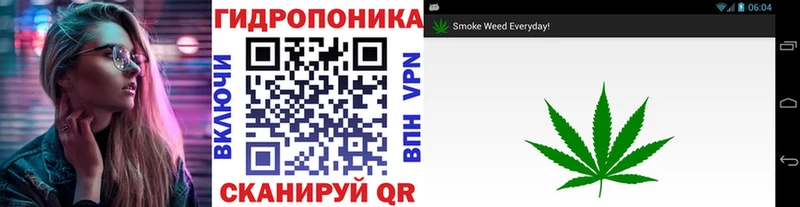 Канабис MAZAR  Почеп 